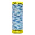 gutermann70660bbc6524ac4